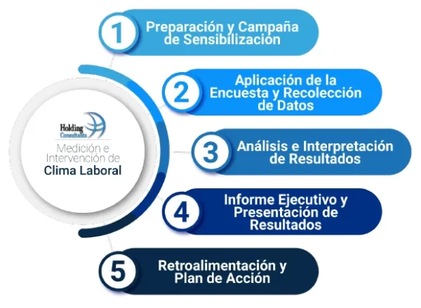 Desarrollo del Servicio Medición e Intervención de Clima Laboral