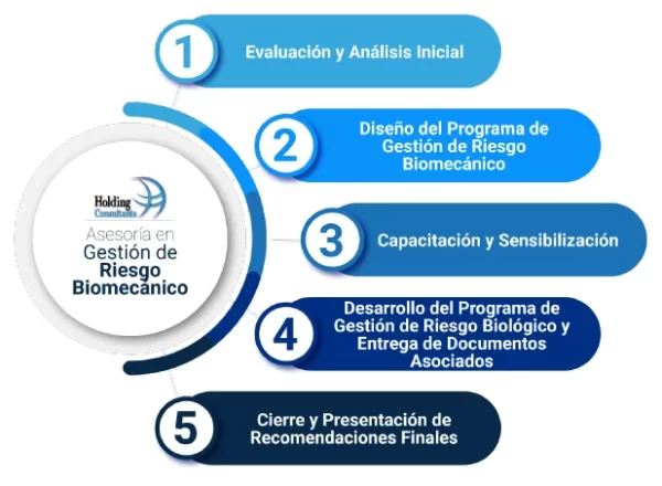 Desarrollo del Servicio Asesoría en Gestión de Riesgo Biomecánico